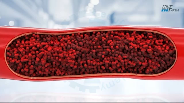 Bloedsomloop door Animatiebrouwerij