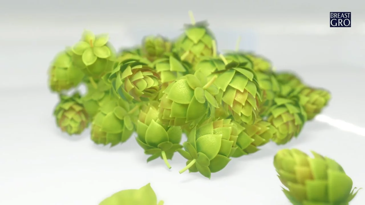 BreastGro – Active hops door Animatiebrouwerij
