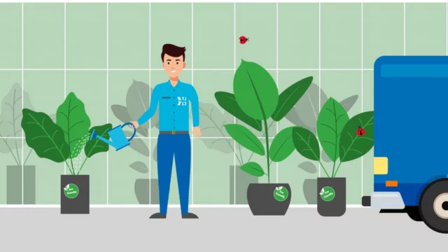 Intratuin – Gewasbescherming door Animatiebrouwerij
