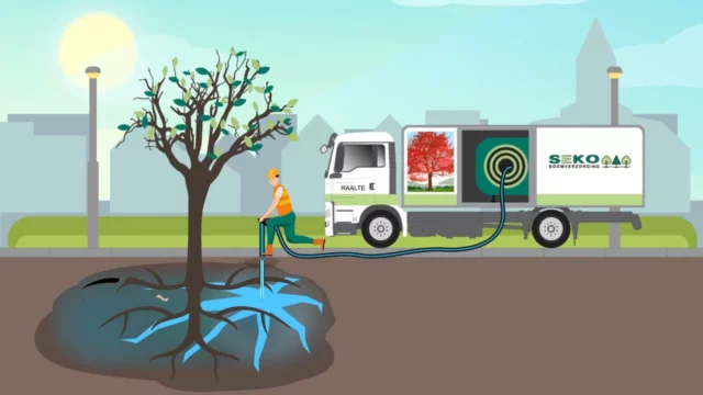 SEKO Boomverzorging – Groeiplaatsverbetering door Animatiebrouwerij